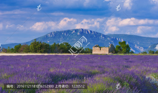 普羅旺斯有風(fēng)的下午