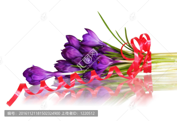 反射的番紅花