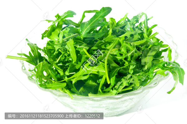 新的火箭