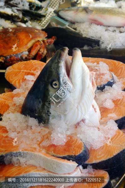 三文魚(yú)頭