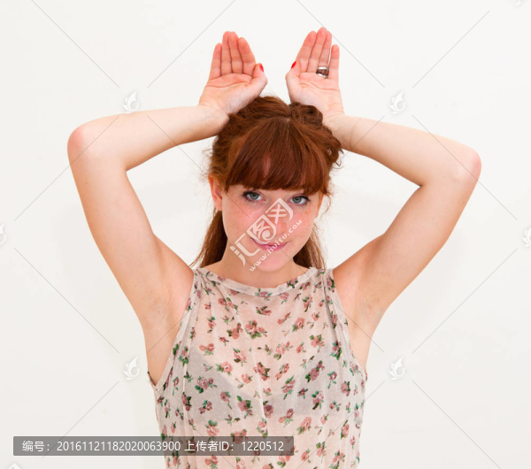 我是一只兔子