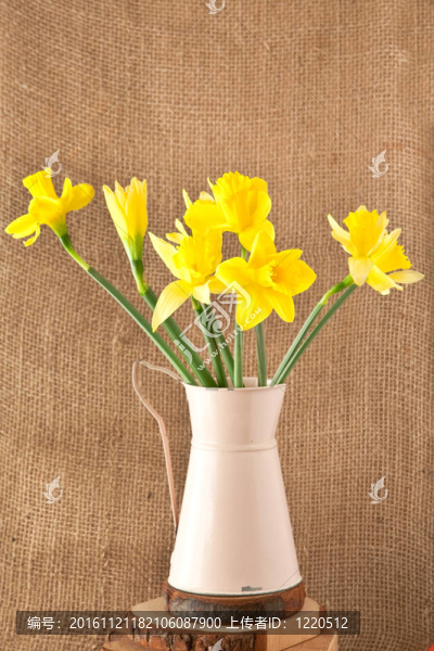 水仙花