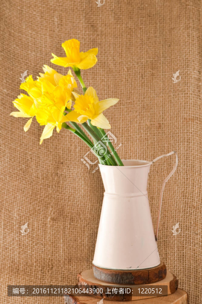 水仙花