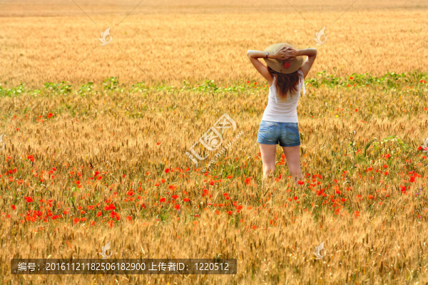 麥田上的女孩