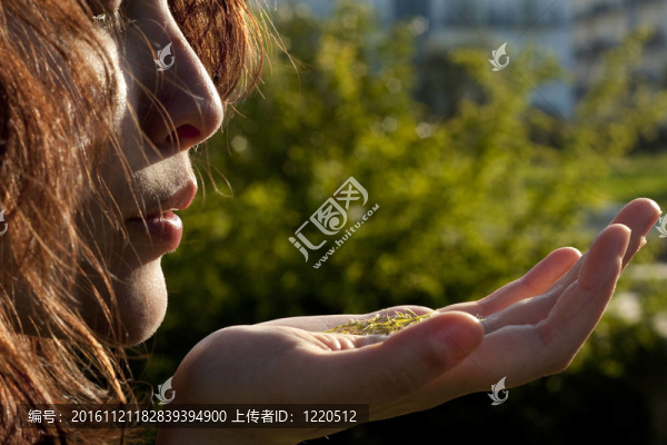 女人吹草