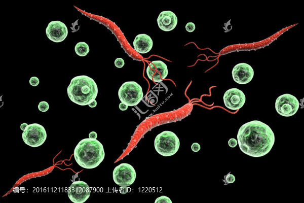 HIV病毒