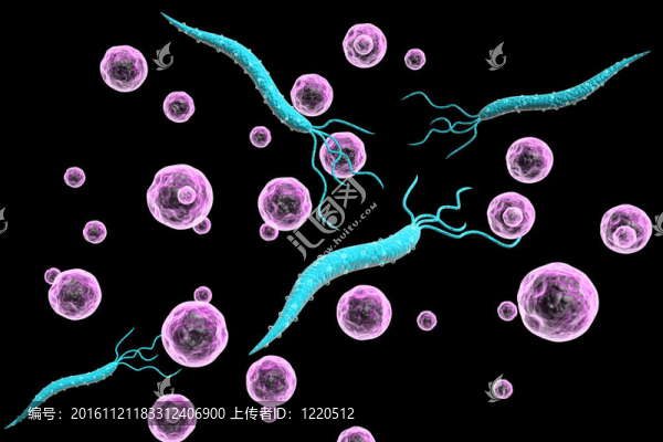 HIV病毒