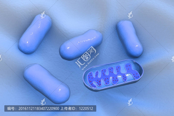 病毒的插圖