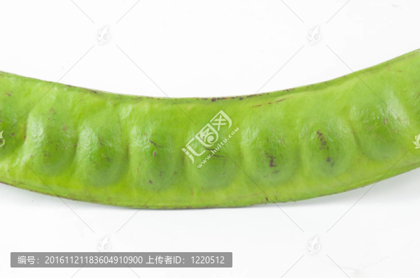 美麗球花豆