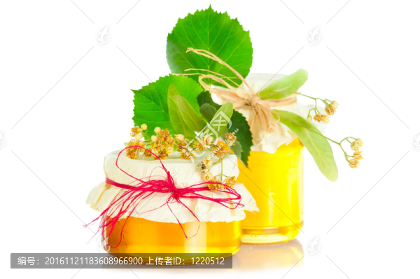 蜂蜜和菩提樹