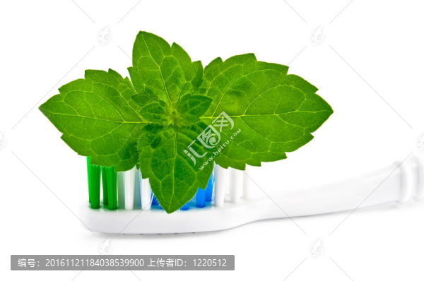牙刷薄荷