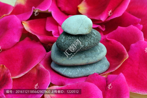 玫瑰花瓣上的禪石