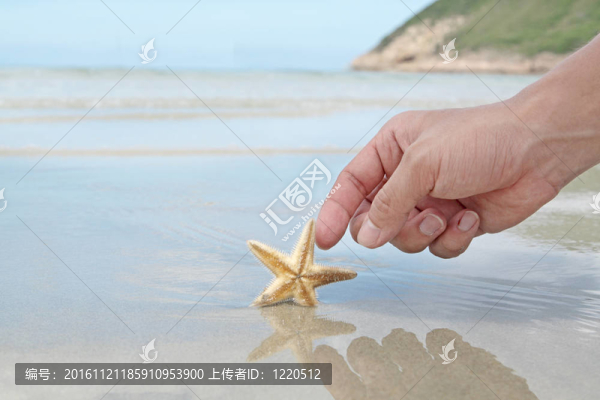 手觸摸海星