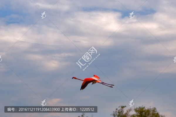 領(lǐng)袖