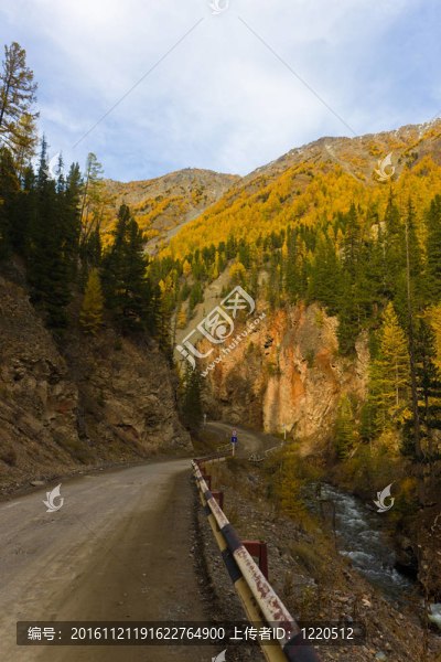 山路