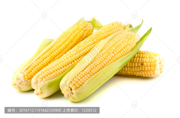 黃玉米
