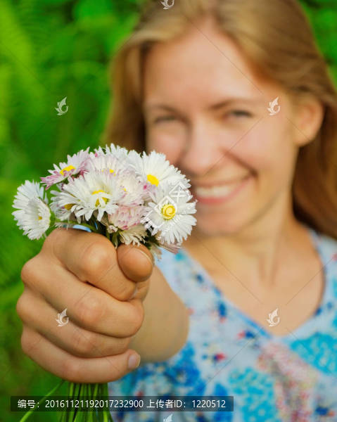 女孩的雛菊