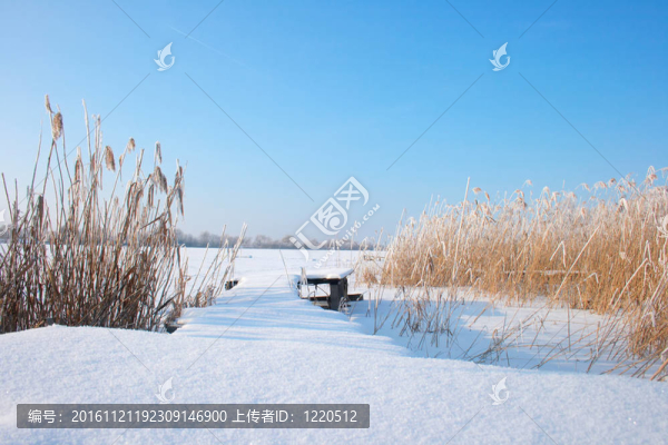 冬天的湖