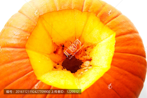 孔在南瓜特寫
