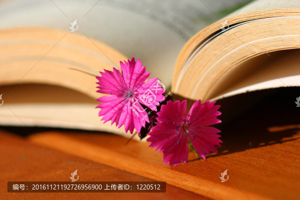 花的書(shū)簽