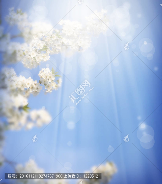 藝術(shù)春天的背景