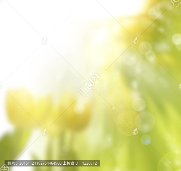 春天的背景
