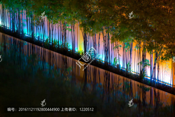 竹子和迷幻的燈光