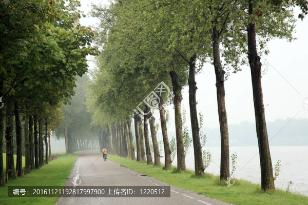 孤獨(dú)的騎車人和管