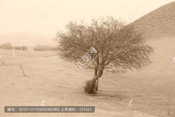 風(fēng)沙