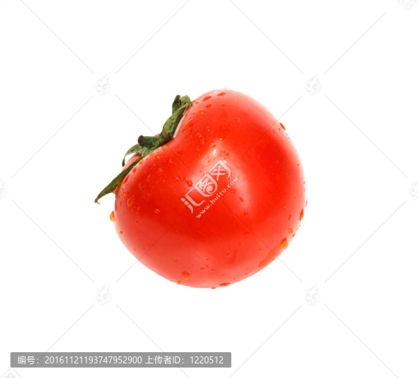 鮮番茄與白色陰影隔離
