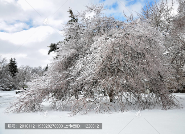在冰風(fēng)暴