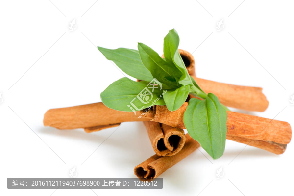 肉桂和綠葉