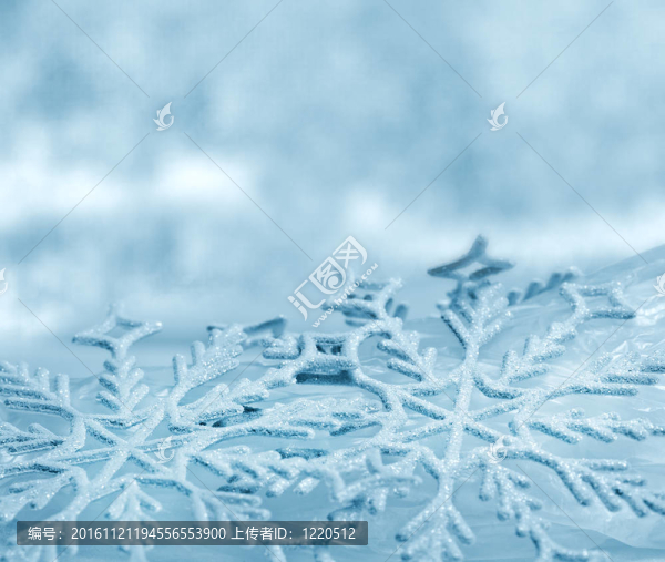 雪花大特寫