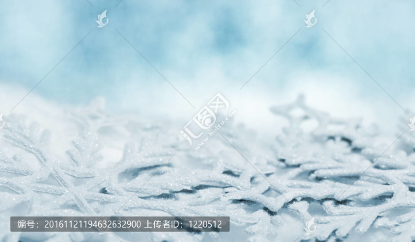 雪花大特寫