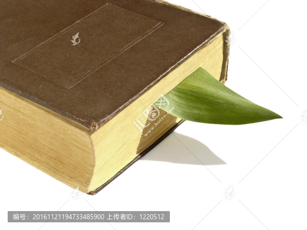 書中的書簽