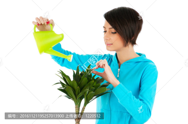 年輕女子澆水白色植物隔離