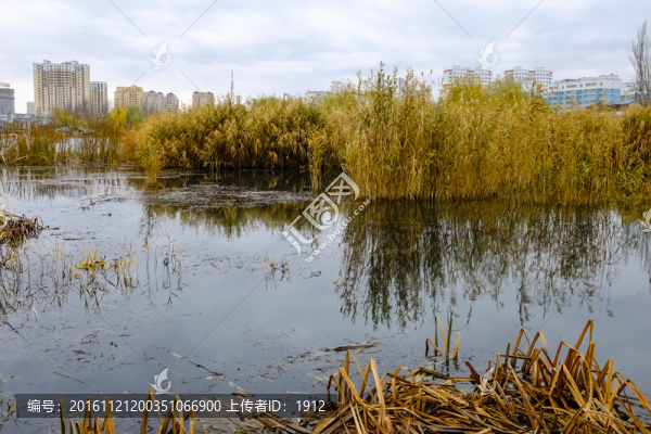 濕地公園