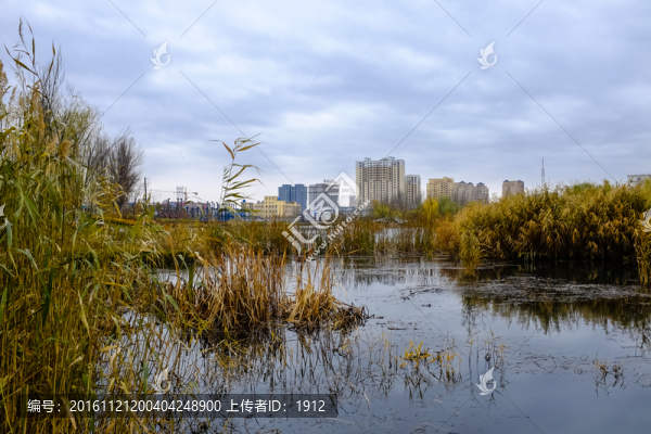 濕地公園