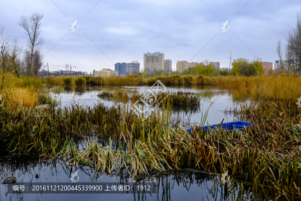 濕地公園