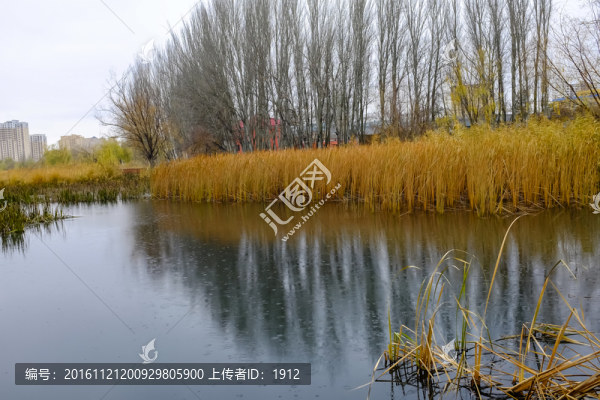 濕地公園