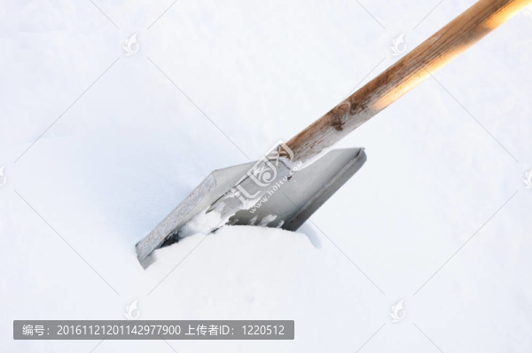 冬天鏟
