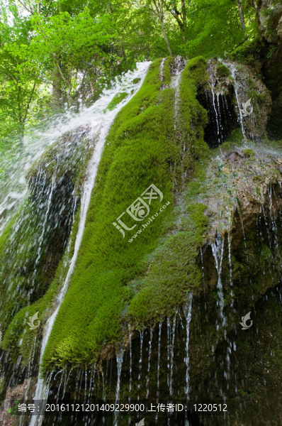 長(zhǎng)滿青苔的垮臺(tái)