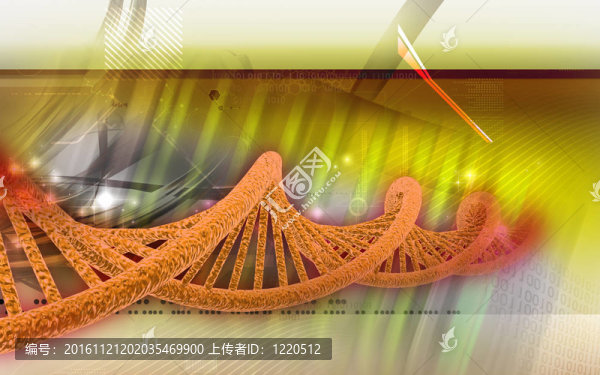 DNA