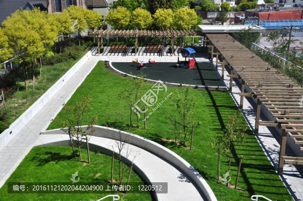 公園里的夏日花園景觀