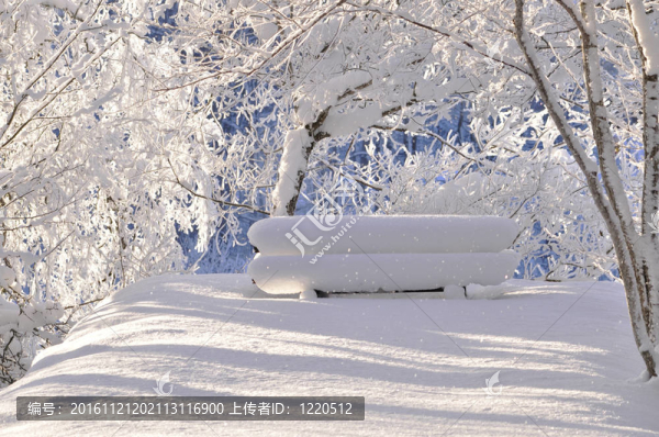 雪枝的背景