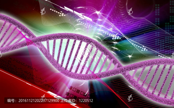 DNA