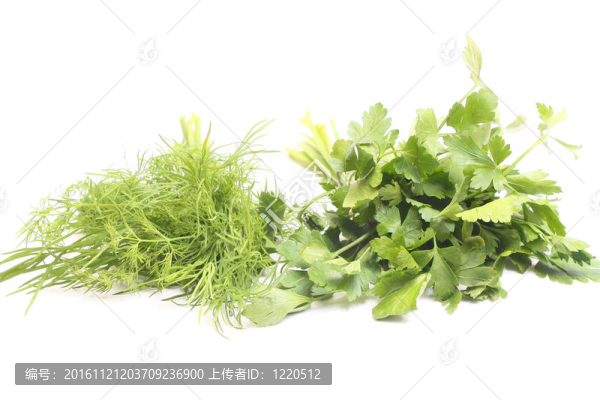 西芹
