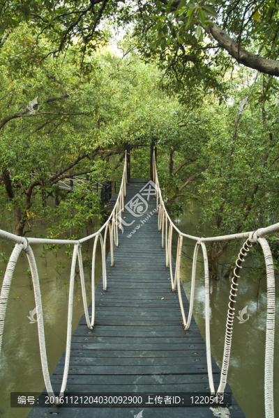 木橋