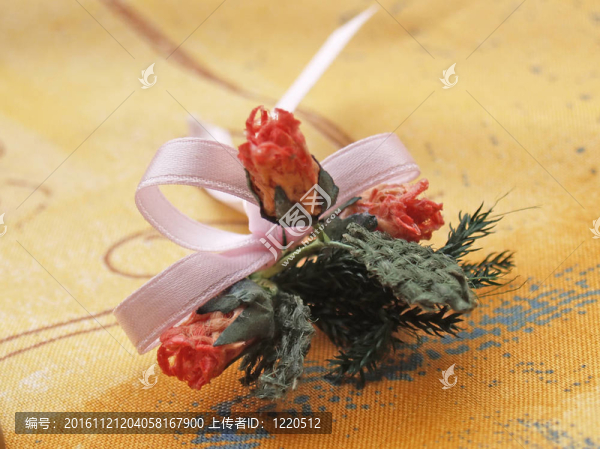 圣誕花