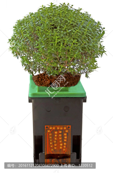 帶有植物的打印盒